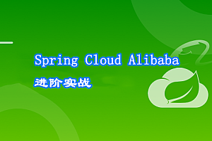 Spring Cloud Alibaba 大型互联网领域多场景最佳实践【完结】