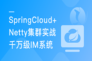 SpringCloud+Netty集群实战千万级 IM系统【完结】