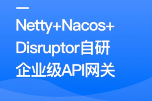 Netty+Nacos+Disruptor自研企业级API网关（完结）
