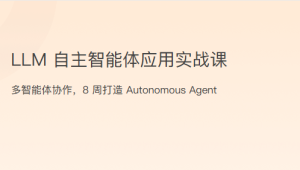 LLM自主智能体应用实战课