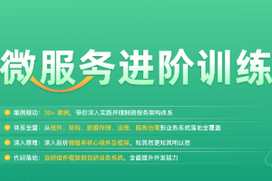 微服务进阶训练营（完结）