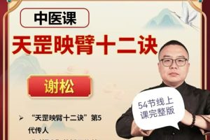 谢松-天罡映臂十二诀全套视频下载