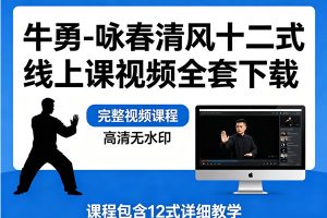 牛勇-咏春清风十二式线上课视频全套下载