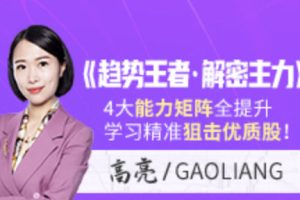 高亮《趋势王者・解密主力》波浪理论