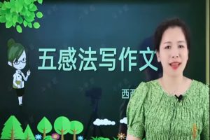 西西老师小学作文视频课《五感法写作文》21课全套视频下载