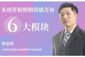 傅嘉祺《系统掌握婚姻情感咨询》6大模块