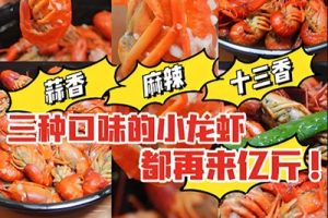 【小龙虾做法大全】麻辣/卤水/十三香/蒜香小及龙隐小吃街教学视频