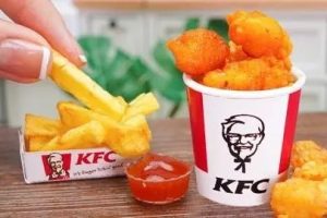 [KFC肯德基系列]薯条汉堡炸鸡技术配方揭秘视频教程
