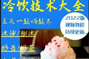 【冷饮开店技术】沙冰、刨冰、奶昔、冰激凌制作技术配方视频