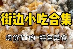 全国街边风味小吃合集技术教程