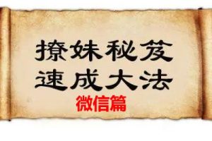 微信聊天撩妹秘笈实战讲座