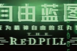 chris《红丸会员4.0自由蓝图》生活、约会、长期关系