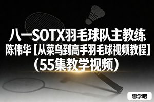 八一SOTX羽毛球队主教练 陈伟华【从菜鸟到高手羽毛球视频教程】（55集下载）