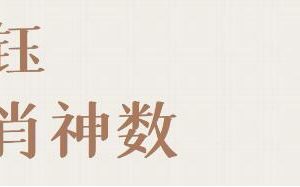 承钰《生肖神数》教学视频