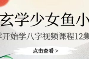 鱼小姐《从0开始学八字》教学视频