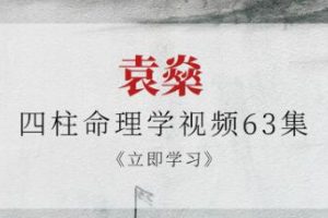 袁燊大师《四柱命理学》视频教学63集