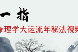《统命理学大运流年秘法》张一指视频64集