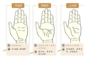 《掌纹相医学系统课》太冲老师主讲