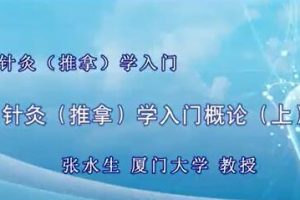 张水生《针灸(推拿)学入门》视频教程