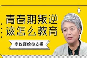 李玫瑾青春期心理学讲座视频全集