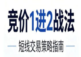 竞价1进2战法，1进2执行策略