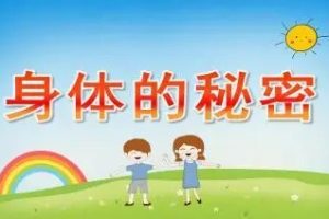 《身体的秘密：给宝宝的第一堂人体认知课》年糕妈妈视频课程