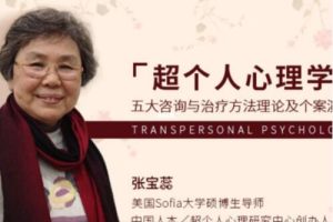 张宝蕊《超个人心理学》五大咨询与治疗方法理论及个案演示课程视频