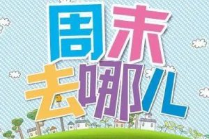 素装周末营全套