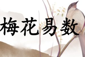 青衫道人《梅花易数》视频17集