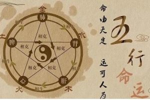 《鬼谷命理学习》教学视频