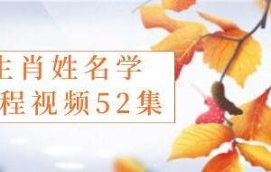 《生肖姓名学》各生肖姓名命运详解视频教程