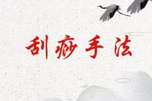 刘霞《新版人体十二部刮痧手法》视频教程