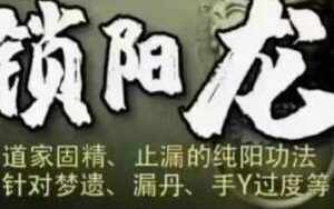 手Y过度必看-姜书洋《锁阳龙》道家固精早泄功法