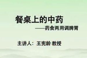 王宪龄《餐桌上的中药》药食两用调脾胃视频