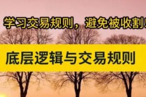 交易底层逻辑与交易规则 股市进阶必修课