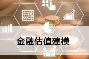 《金融估值建模方法论》视频教程