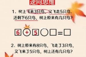 一年级数学思维（视频+讲义）