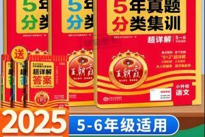 2025新版王朝霞小升初各地真题精编