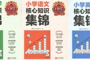 王朝霞-核心知识集锦(小学语数英三科1-6年通用)