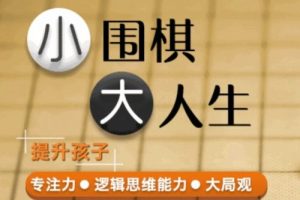 凯叔少儿围棋启蒙课 26课全
