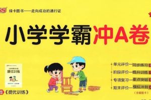 2024版春小学学霸冲A卷下册