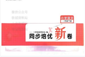 一本小学同步培优新卷 下