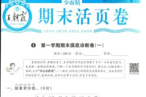 王朝霞期末活页卷 1-6年级