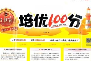 王朝霞培优100分（1-6年级）高清PDF