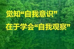 【大脑与心智】人类意识机制初探与自我觉知