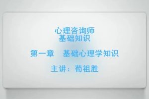 环球心理咨询师基础知识精讲班教程全86集