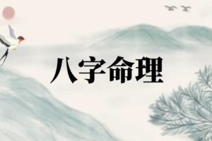 左林《八字命理实战》18集视频课程