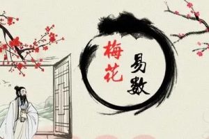 梅花易数无观周易时空信息学