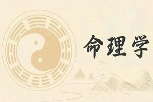 赵泽《八字命理学》入门到精通系统讲座