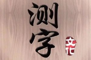 三才数字神断预测学视频【显密法堂文元少】